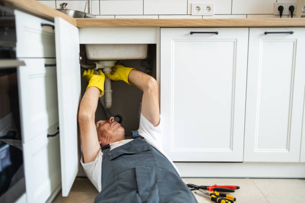 Best Commercial Plumbing Services  in Oak Brook, IL